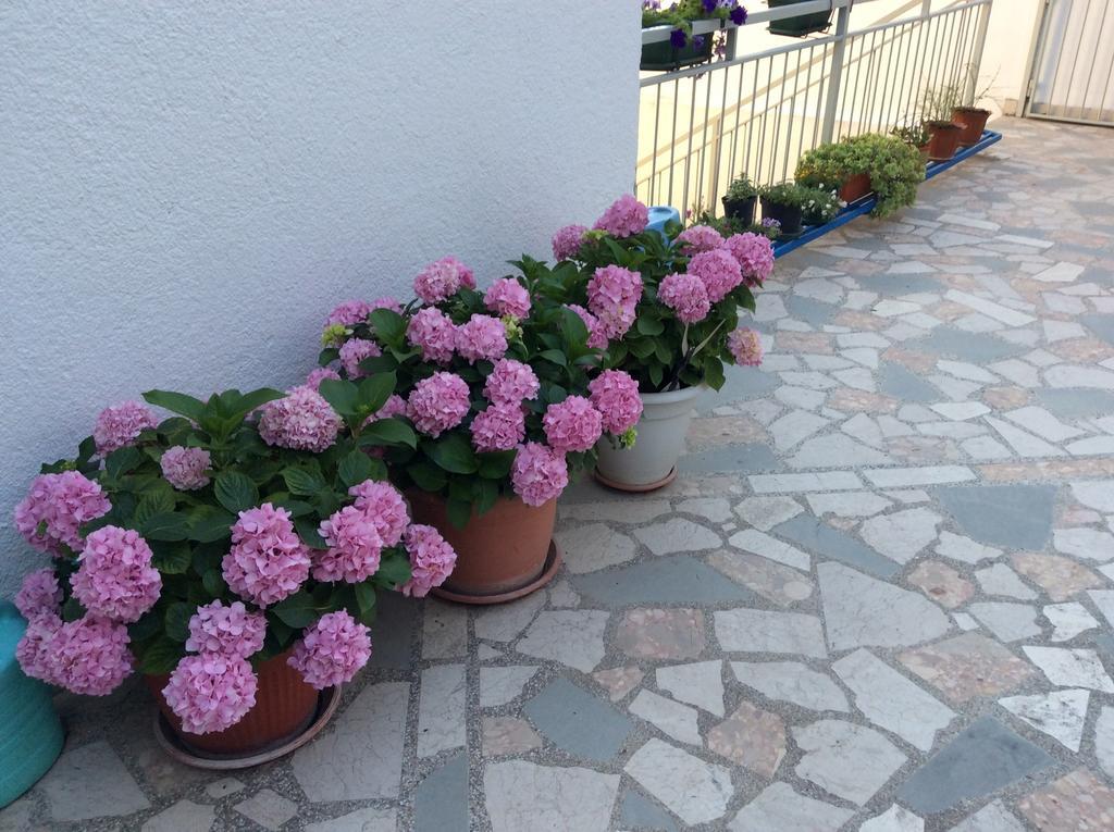 Apartment Satus Podstrana Rom bilde